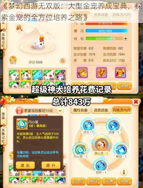 《梦幻西游无双版：大型金宠养成宝典，探索金宠的全方位培养之路》