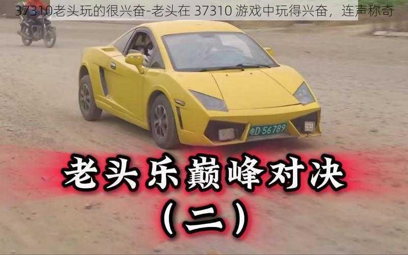 37310老头玩的很兴奋-老头在 37310 游戏中玩得兴奋，连声称奇