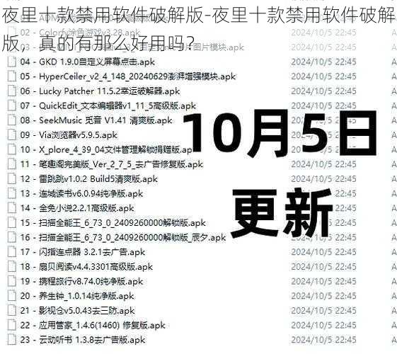 夜里十款禁用软件破解版-夜里十款禁用软件破解版，真的有那么好用吗？