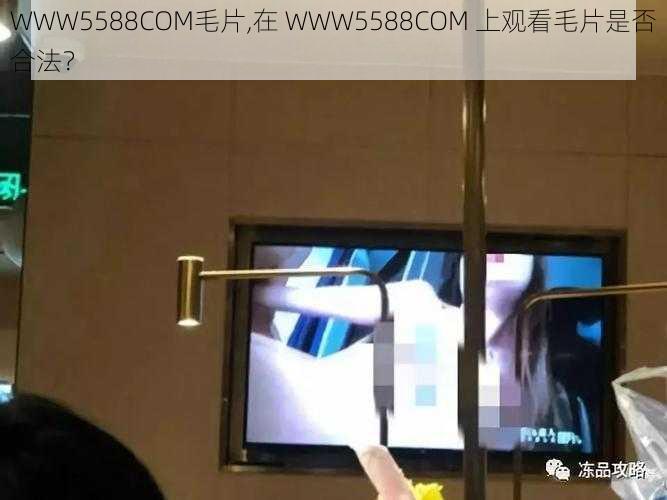 WWW5588COM毛片,在 WWW5588COM 上观看毛片是否合法？