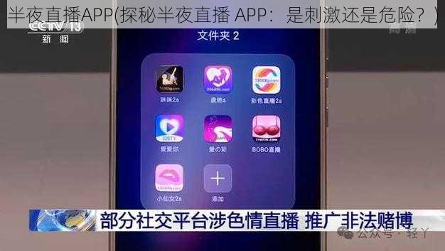 半夜直播APP(探秘半夜直播 APP：是刺激还是危险？)