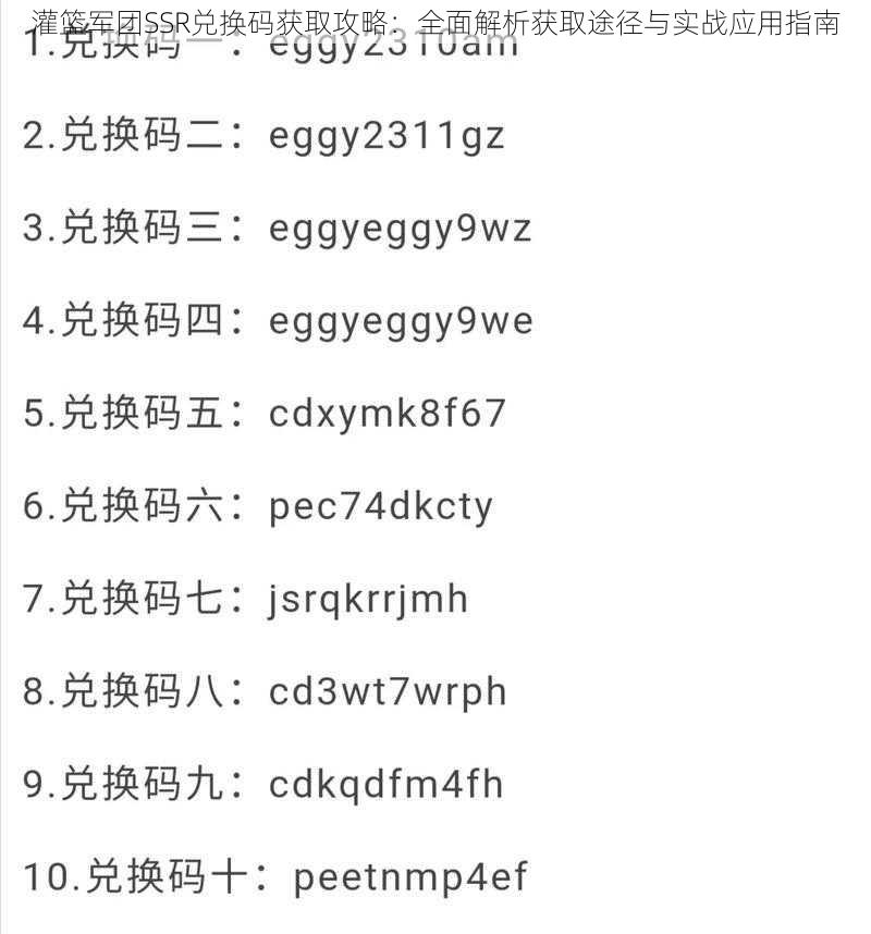 灌篮军团SSR兑换码获取攻略：全面解析获取途径与实战应用指南