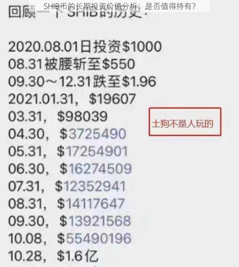 SHIB币的长期投资价值分析：是否值得持有？