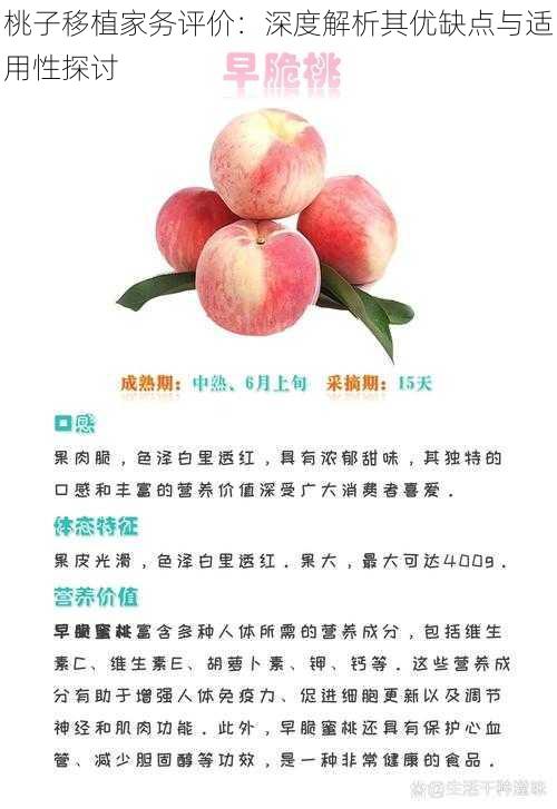 桃子移植家务评价：深度解析其优缺点与适用性探讨