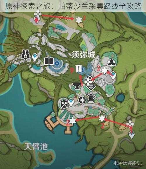 原神探索之旅：帕蒂沙兰采集路线全攻略