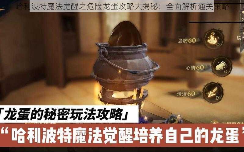 哈利波特魔法觉醒之危险龙蛋攻略大揭秘：全面解析通关策略