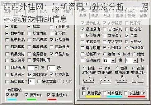 西西外挂网：最新资讯与独家分析，一网打尽游戏辅助信息