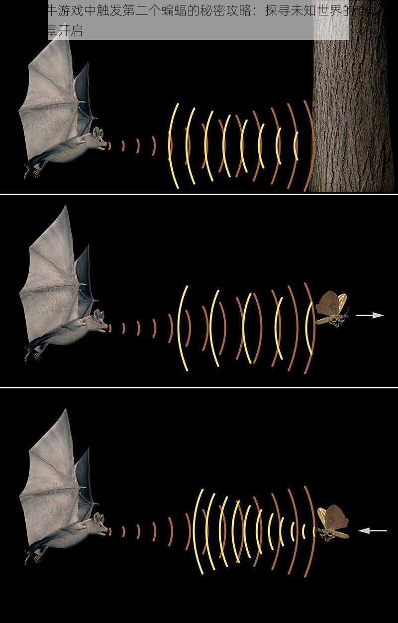 最强蜗牛游戏中触发第二个蝙蝠的秘密攻略：探寻未知世界的奇妙冒险新篇章开启